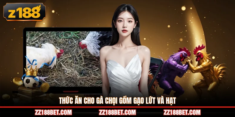 Thức ăn cho gà chọi gồm gạo lứt và hạt